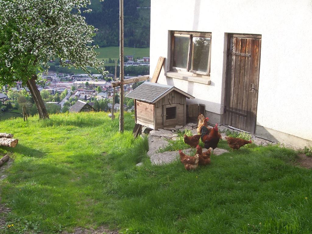 Guest house Pension Spreitzhof & Appartement Royer *