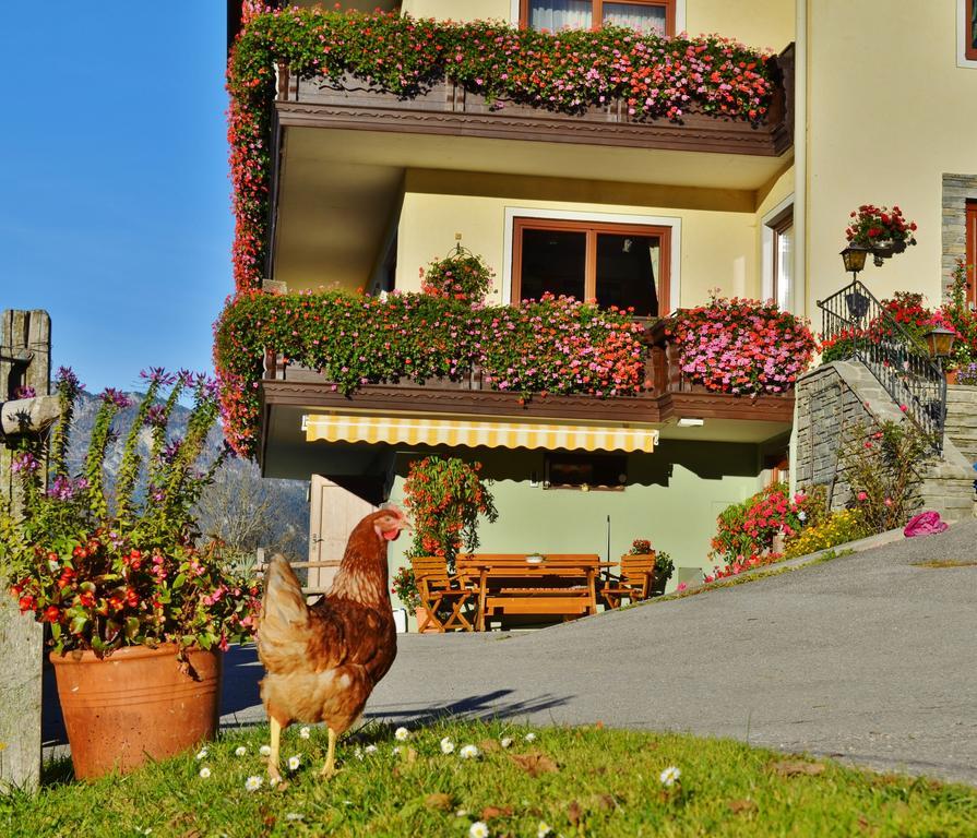 Pension Spreitzhof & Appartement Royer Guest house *